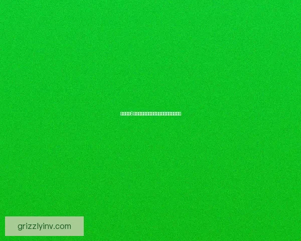 风色幻想6技能树系统深度解析与职业发展路径全指南